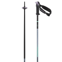 POLAR PRO S3 - Alpine poles - Unisex