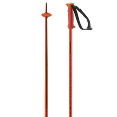 POLAR - Alpine poles - Unisex