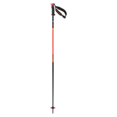 POLAR PRO S3 - Alpine poles - Unisex