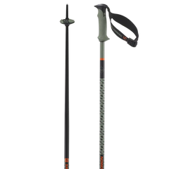 POLAR PRO S3 - Alpine poles - Unisex